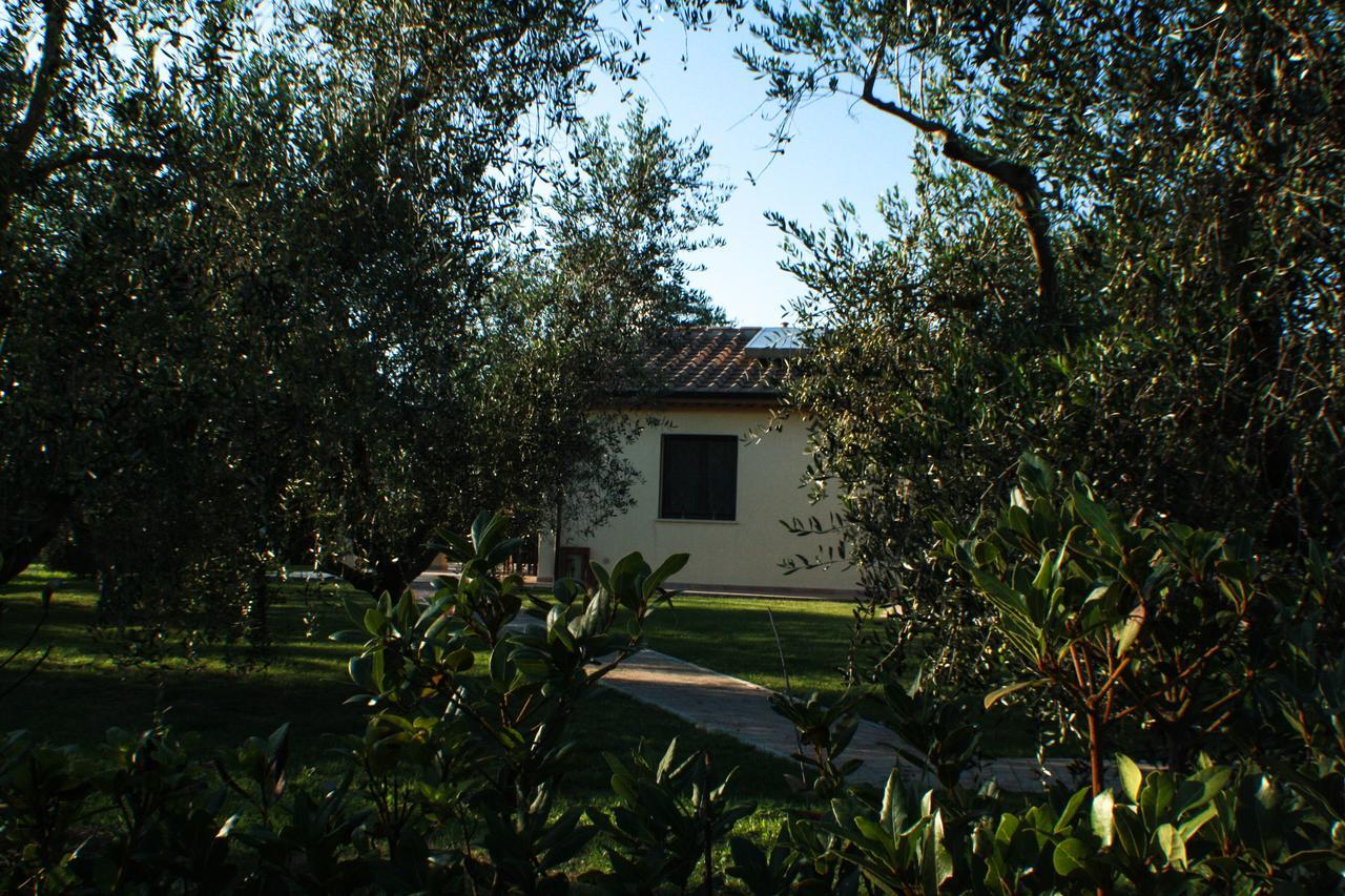 Agriturismo Dallolivo Bolgheri Exterior foto
